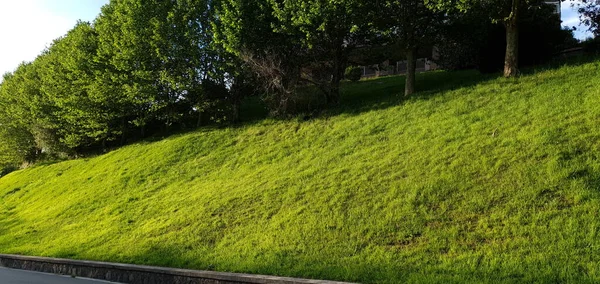 Välskött Grönt Gräs Donostia San Sebastian Trädgårdar Baskien — Stockfoto