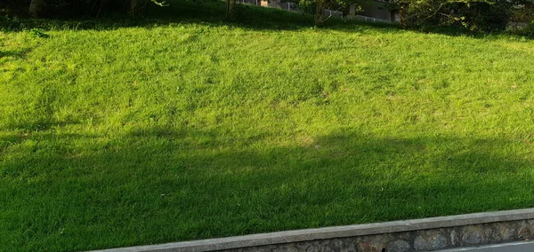 Césped Verde Bien Cuidado Los Jardines Donostia San Sebastián País — Foto de Stock