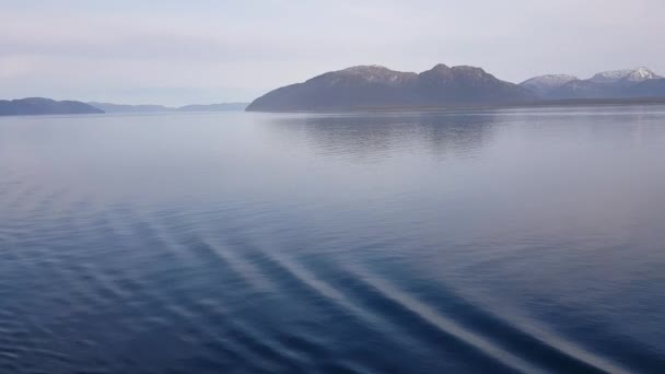 春にアラスカのフィヨルドクルーズを航海する — ストック動画