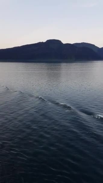 Croisière Dans Fjord Alaska Printemps — Video
