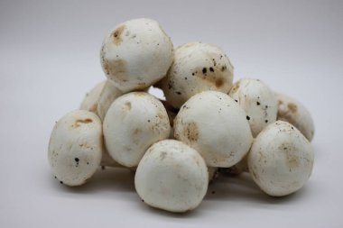 Beyaz arka planda yeni toplanmış mantarlar