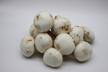 Beyaz arka planda yeni toplanmış mantarlar