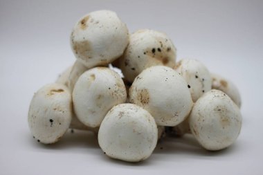 Beyaz arka planda yeni toplanmış mantarlar