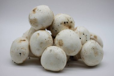 Beyaz arka planda yeni toplanmış mantarlar