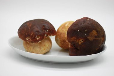 büyük boletus mantarı beyaz zemin üzerine izole kapatmak