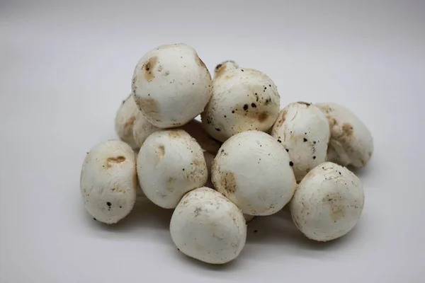 Frisch Gepflückte Pilze Auf Weißem Hintergrund — Stockfoto