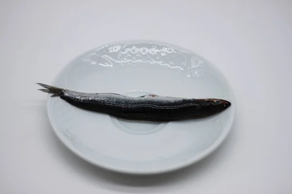 Anchoa Fresca Sobre Fondo Blanco — Foto de Stock