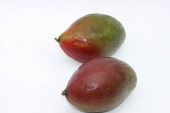 mango ovoce izolované na bílém pozadí