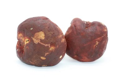 büyük boletus mantarı beyaz zemin üzerine izole kapatmak