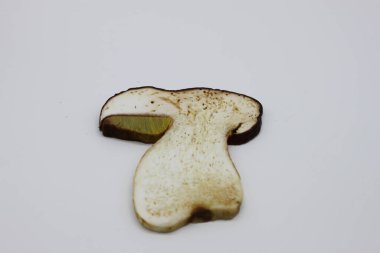 Beyaz arka planda yuvarlanmış mantarlar