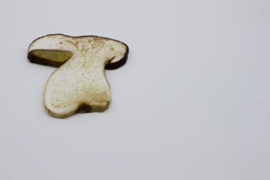 Beyaz arka planda yuvarlanmış mantarlar