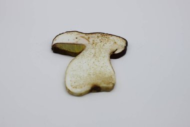 Beyaz arka planda yuvarlanmış mantarlar