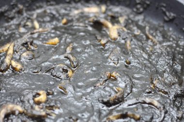 mürekkepli kalamar güveci.