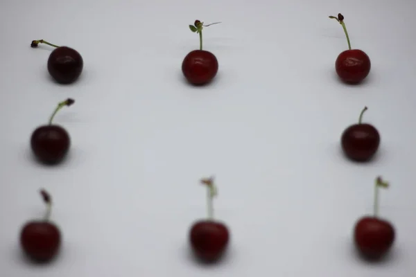 Cerezas Rojas Sobre Fondo Blanco —  Fotos de Stock