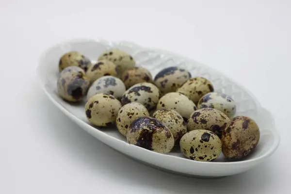 Huevos Codorniz Aislados Sobre Fondo Blanco — Foto de Stock