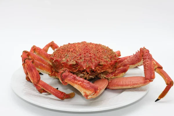 Centolle Crabe Cuit Isolé Sur Fond Blanc — Photo