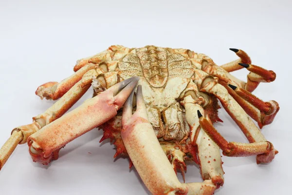 Gekookte Krab Centolla Geïsoleerd Witte Achtergrond — Stockfoto