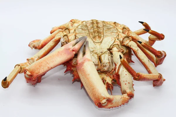 European Spider Crab Spiny Spider Crab Spinous Spider Crab Cooked — Stock Photo, Image