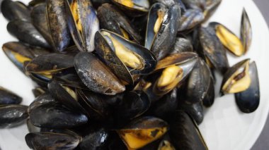 Küçük kayalık midyeler.