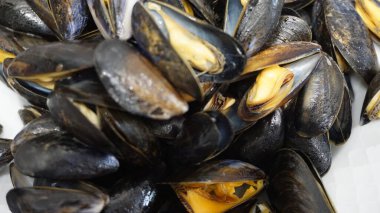 Küçük kayalık midyeler.