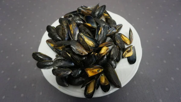 Kerang Kecil Dari Batu Kukus — Stok Foto