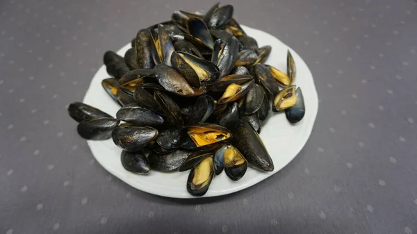 Small Steamed Rock Mussels — Stock Photo, Image