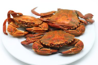 Beyaz arkaplanda pişmiş kırmızı yengeç