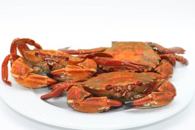 Beyaz arkaplanda pişmiş kırmızı yengeç