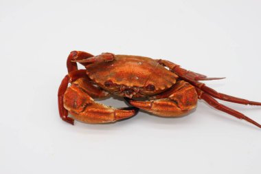 Beyaz arkaplanda pişmiş kırmızı yengeç