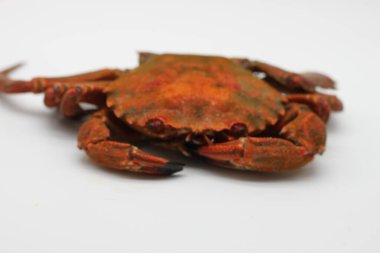 Beyaz arkaplanda pişmiş kırmızı yengeç