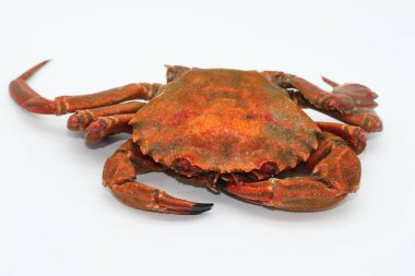 Beyaz arkaplanda pişmiş kırmızı yengeç