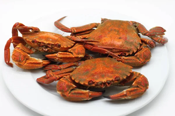 cooked red crabs on white background