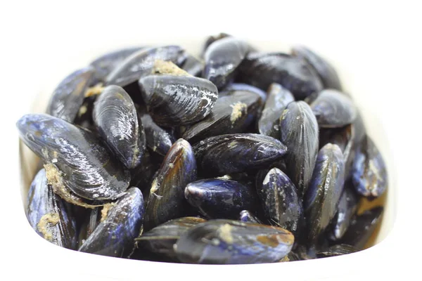 Black Rock Mussels White Background — Stock Photo, Image