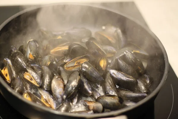 Steamed Rock Mussels Pan — Stock Photo, Image