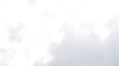 One fighter jets in the blue sky. A general plan. Aerobatic figures. Airshow. 8 seconds
