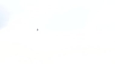 One fighter jets circle in the blue sky. A general plan. Aerobatic figures. Airshow. 20 seconds