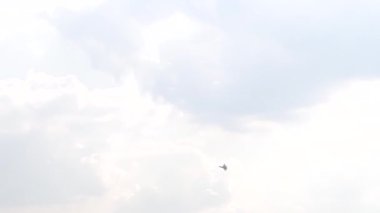 One fighter jets circle in the blue sky. A general plan. Aerobatic figures. Airshow. 20 seconds