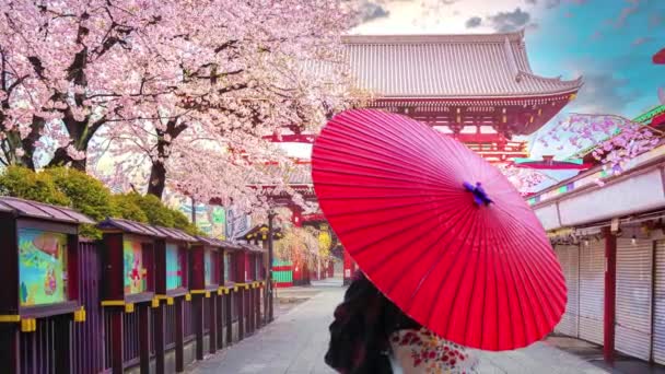 Geisha portant le kimono japonais traditionnel parmi le temple Sensoji à Asakusa Tokyo, Japon. 4K. Animation parallèle 3D — Video