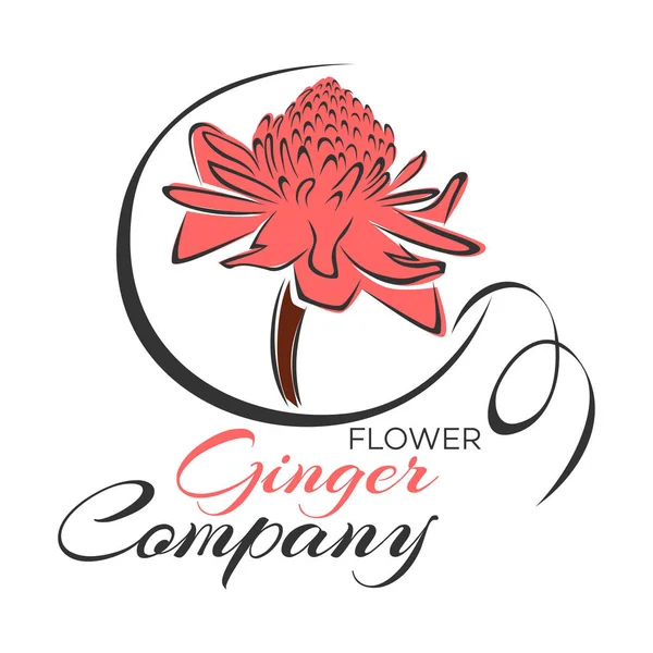 Logo fleur de gingembre. Illustration vectorielle — Image vectorielle