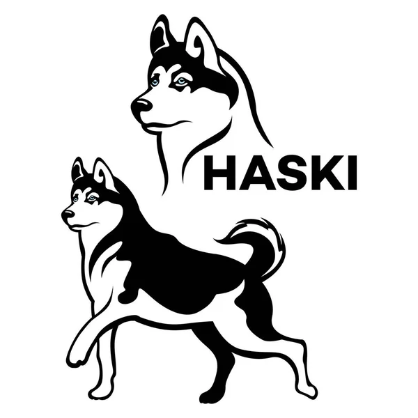 Pies rasy Husky logo — Wektor stockowy