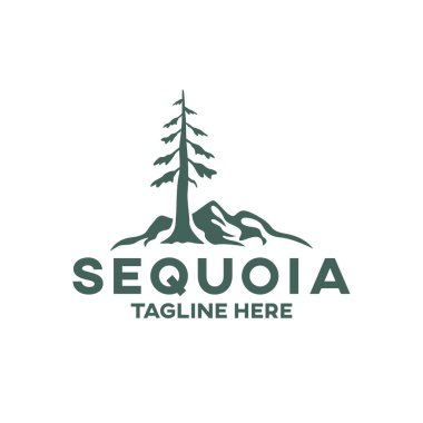 Modern tree sequoia logo. Vector illustration. clipart