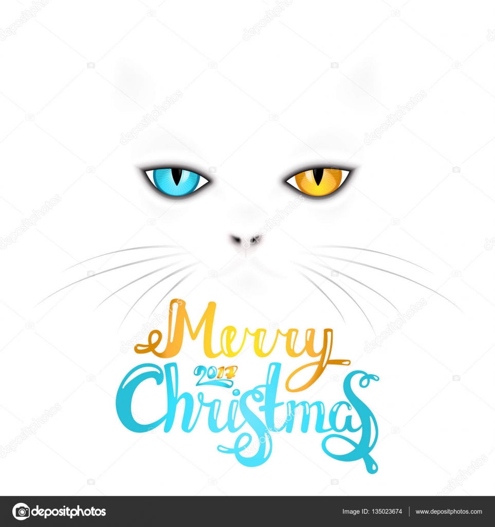 White Cat With Different Colored Eyes Vector Image By C Murr Ma Vector Stock