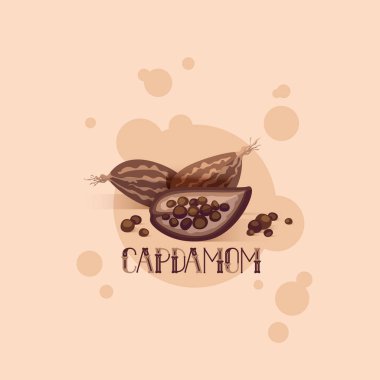 illustration of spices cardamom. clipart