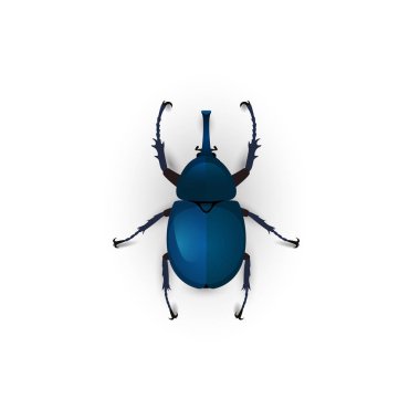 Blue beetle on background. 