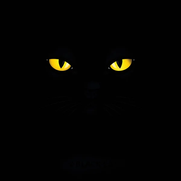 Gato con ojos amarillos . — Vector de stock