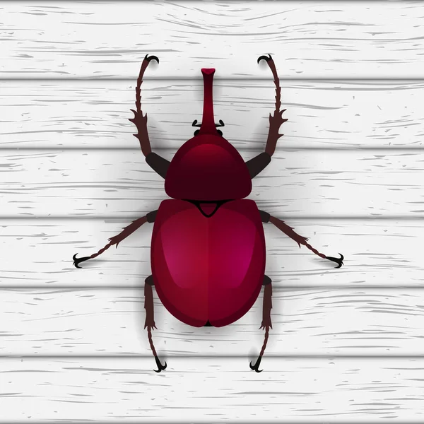 Illustration of a realistic bug — Stock Vector