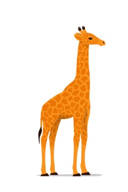  Bir zürafa gerçekçi çizimi