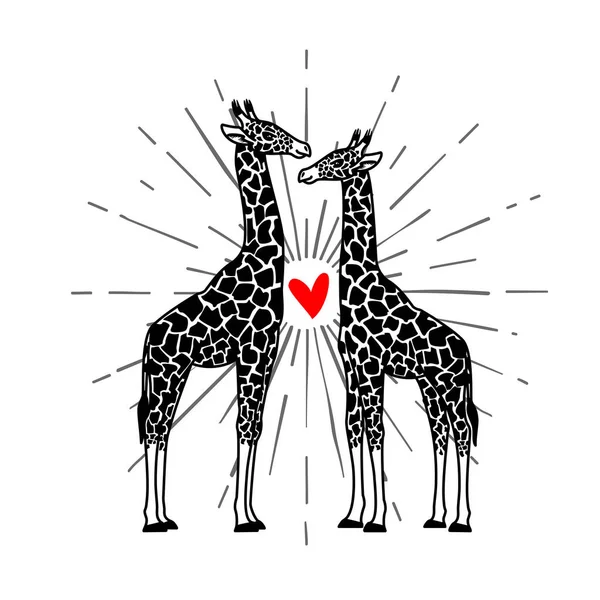 Dvě žirafy a srdce — Stockový vektor
