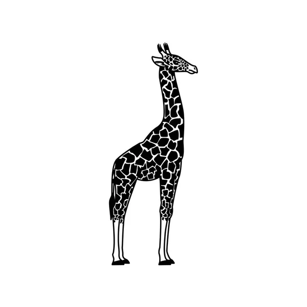 Realistické ilustrace žirafa — Stockový vektor