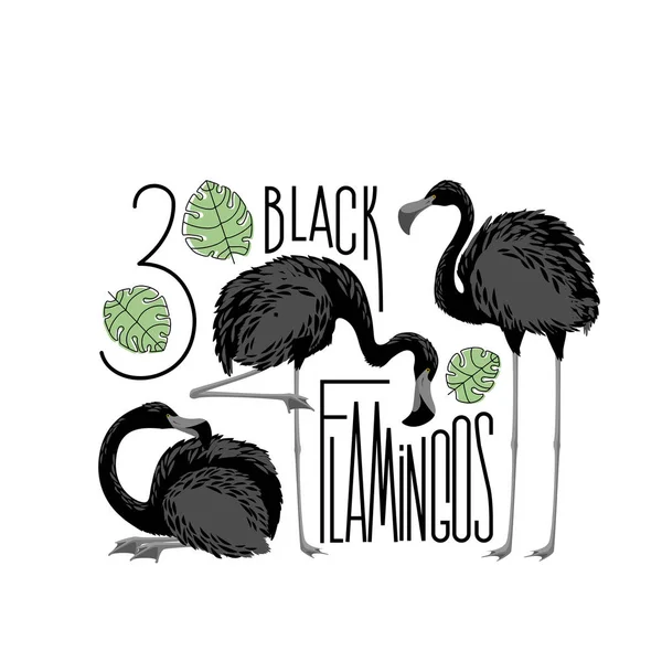 Tres flamencos negros con hojas tropicales — Vector de stock